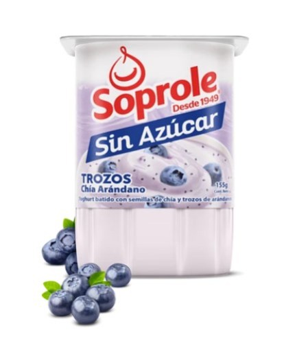 yoghurt sin azucar trozos chia arandano 155g